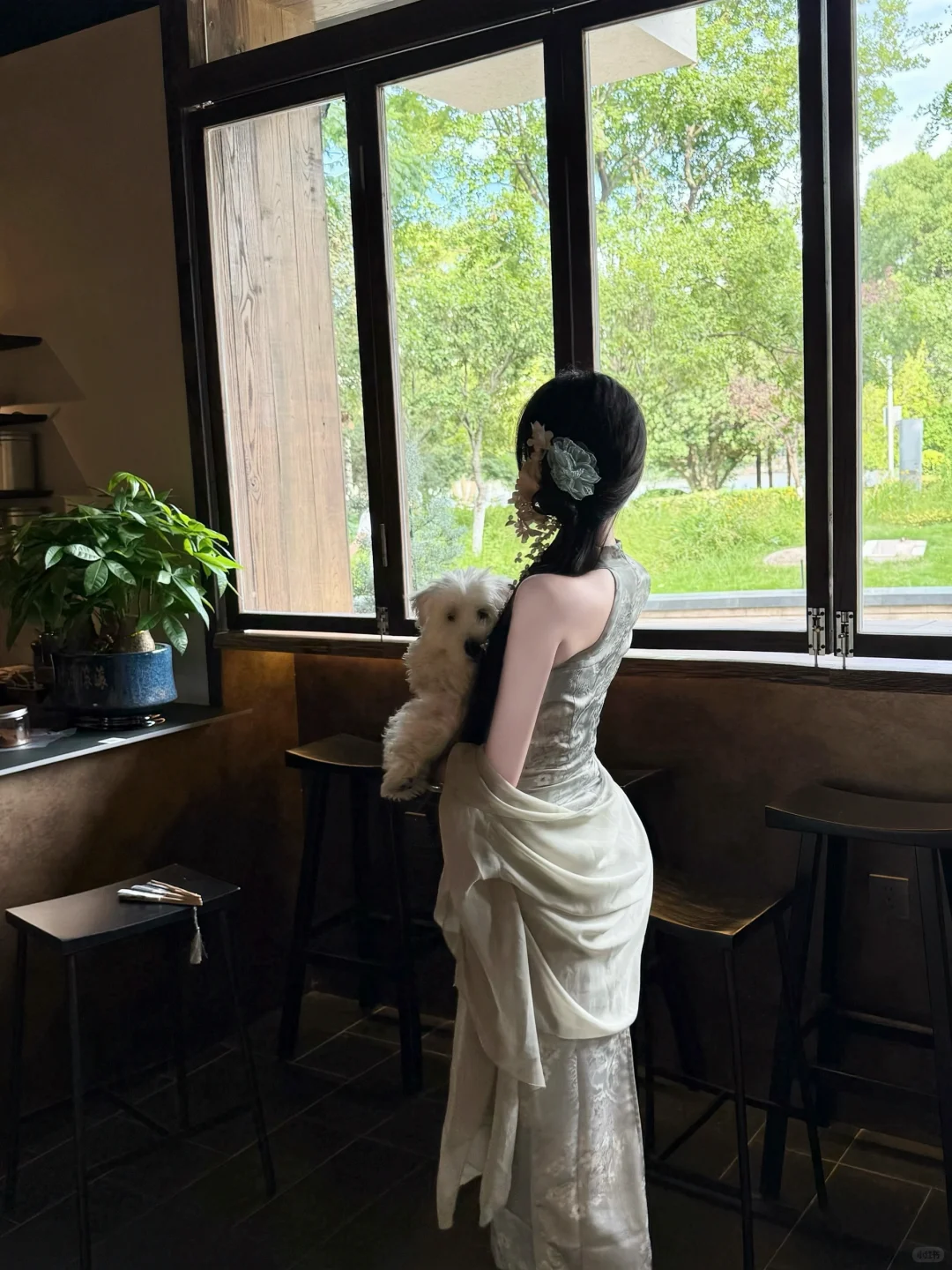 光落在绿意