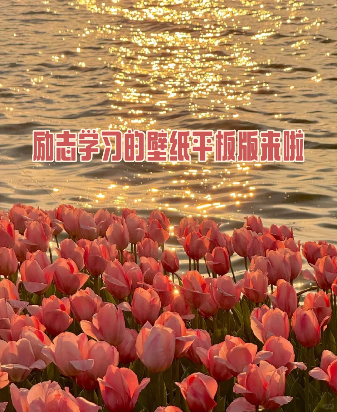 励志学习的壁纸平板版