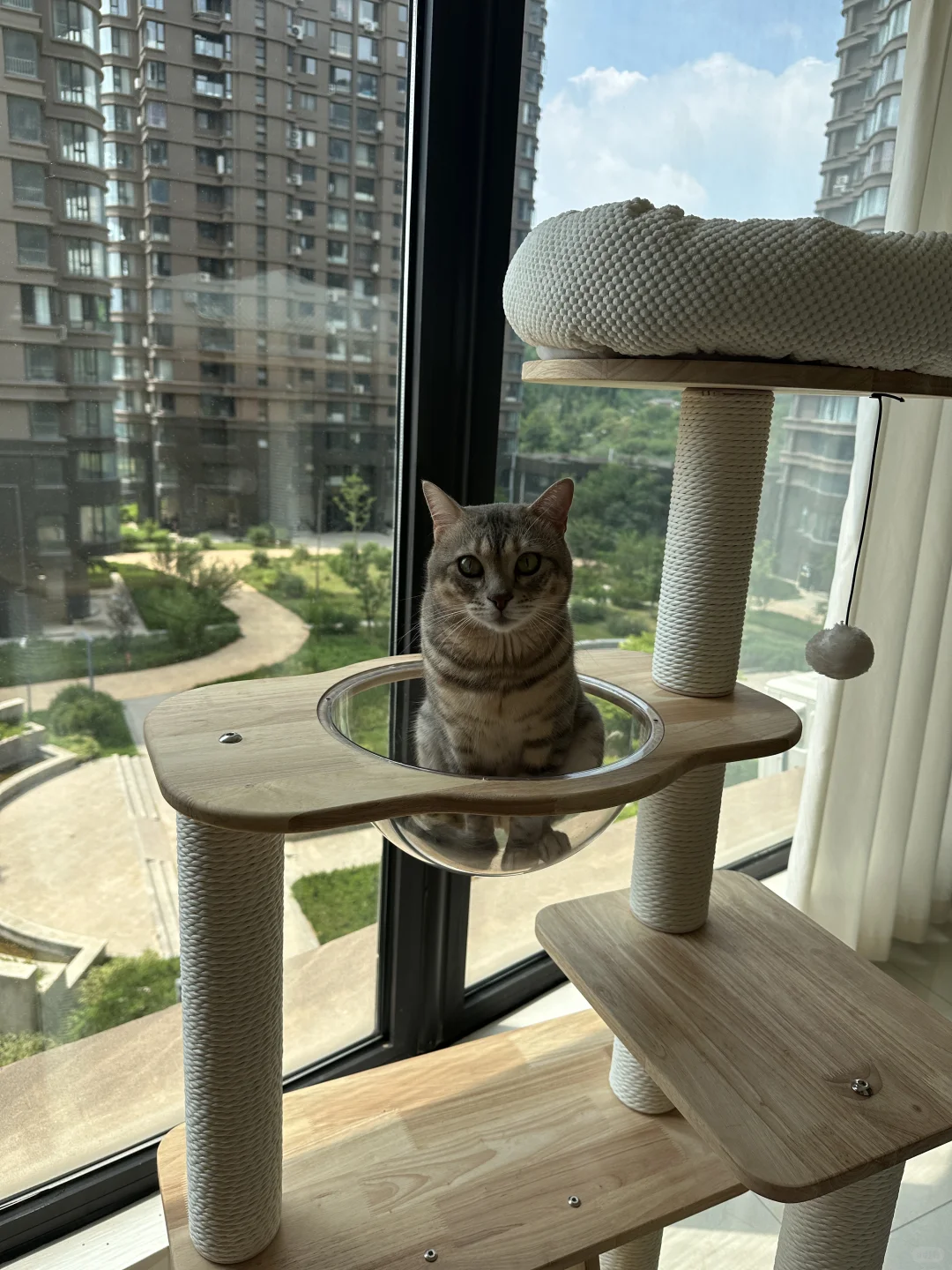 终于入住新房啦！🏠