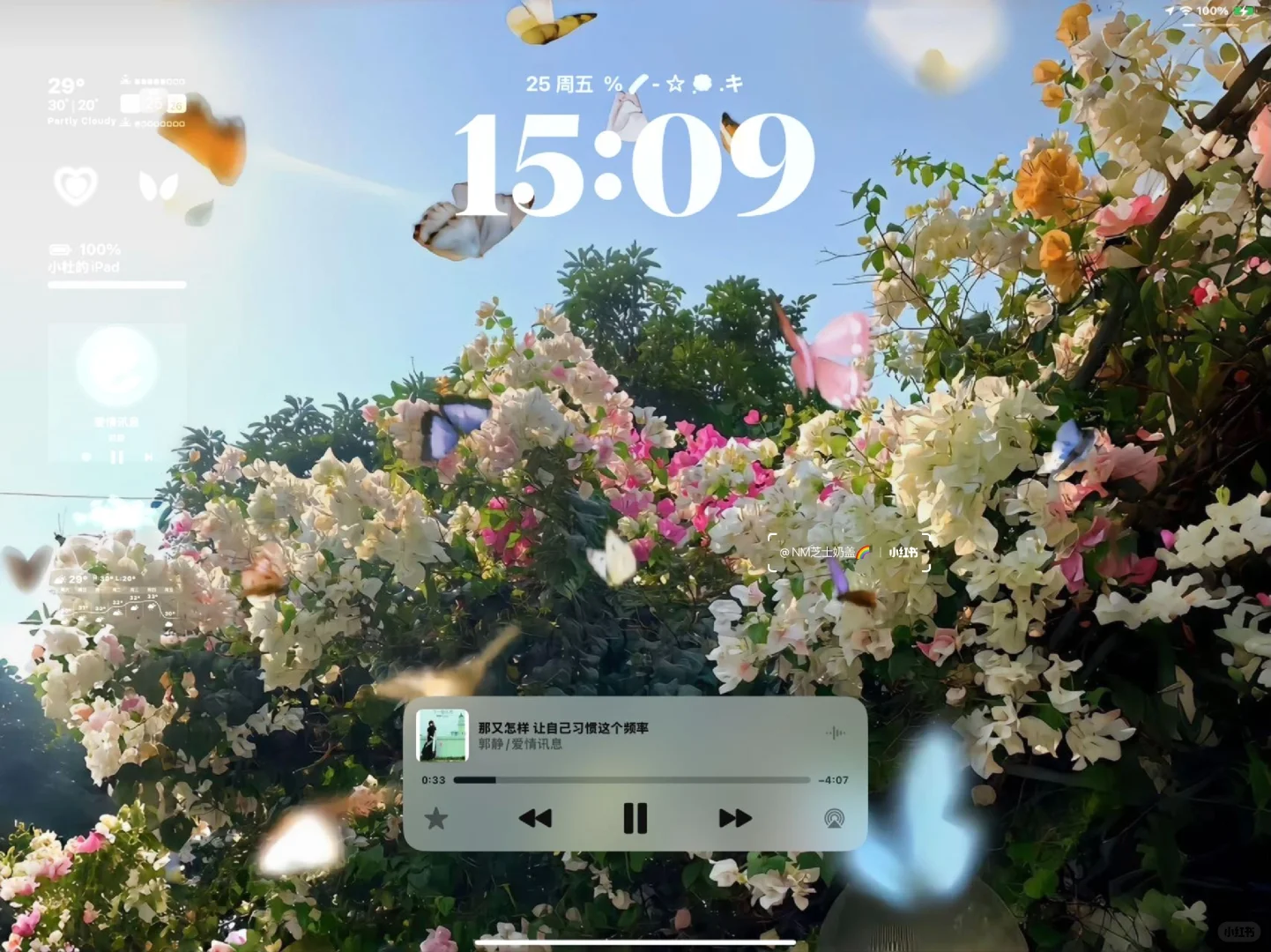  𝐒𝐡𝐚𝐫𝐞|生命力平板壁纸
