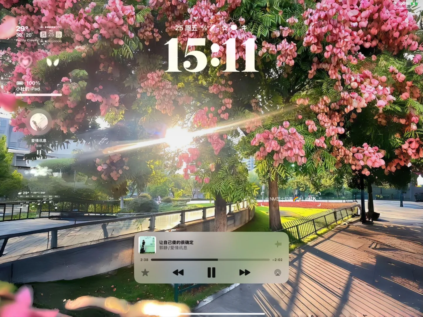 𝐒𝐡𝐚𝐫𝐞|生命力平板壁纸