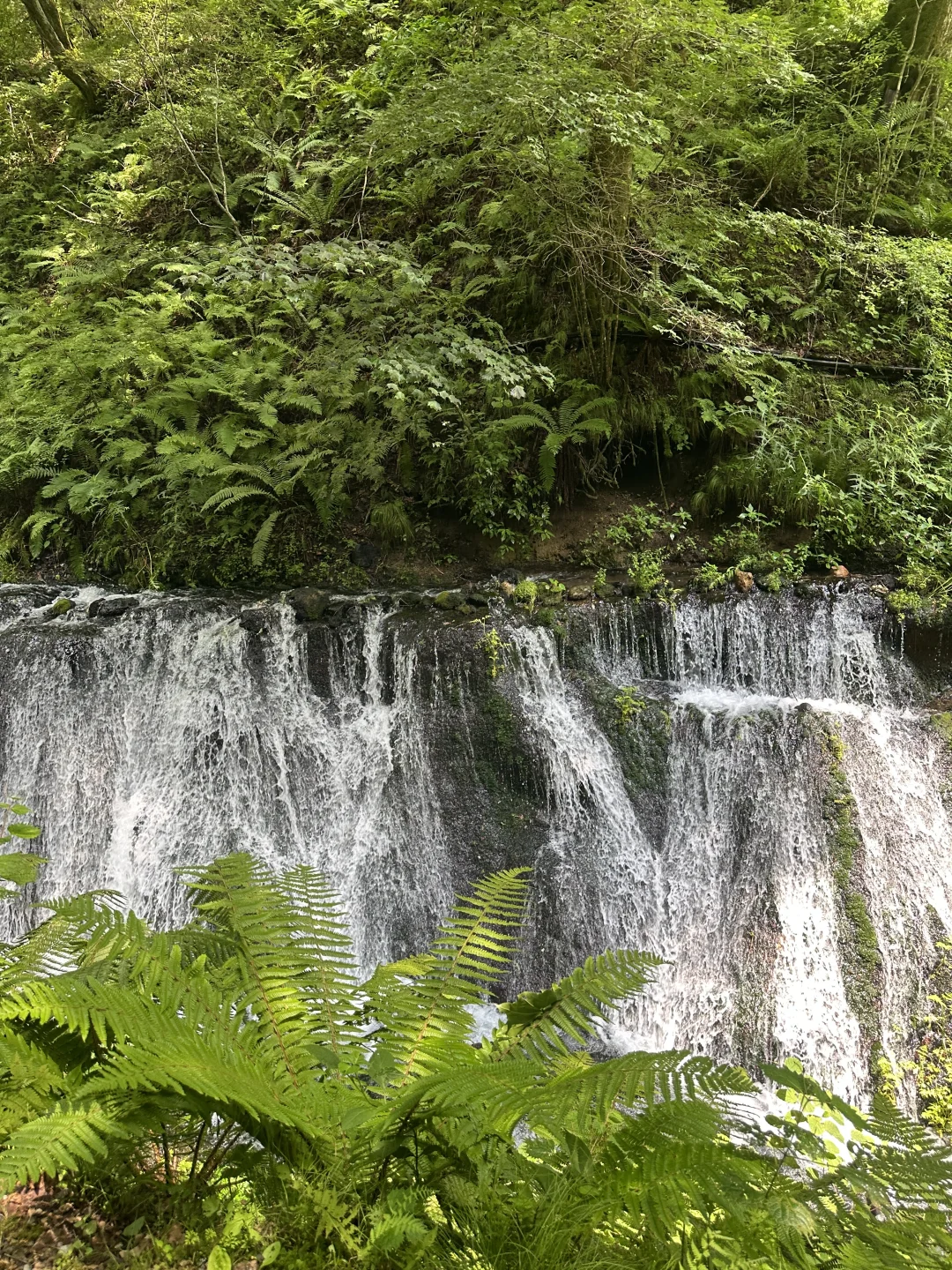 📍轻井泽の白丝瀑布