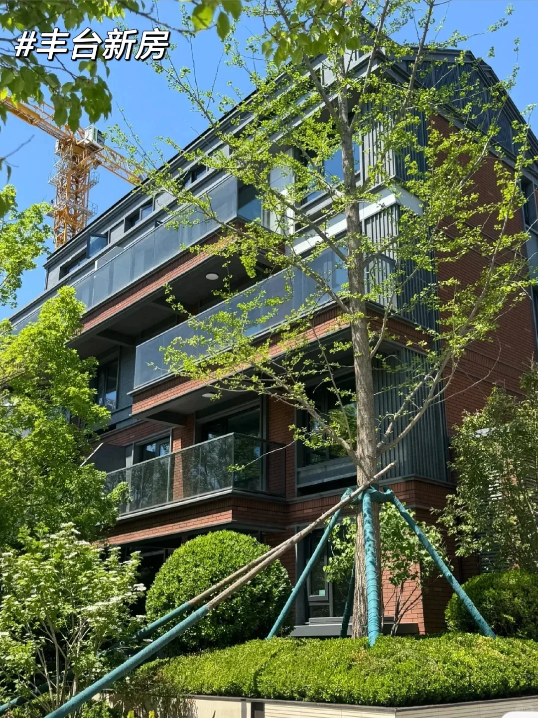 总价500万 在丰台买到了我的Dream House~