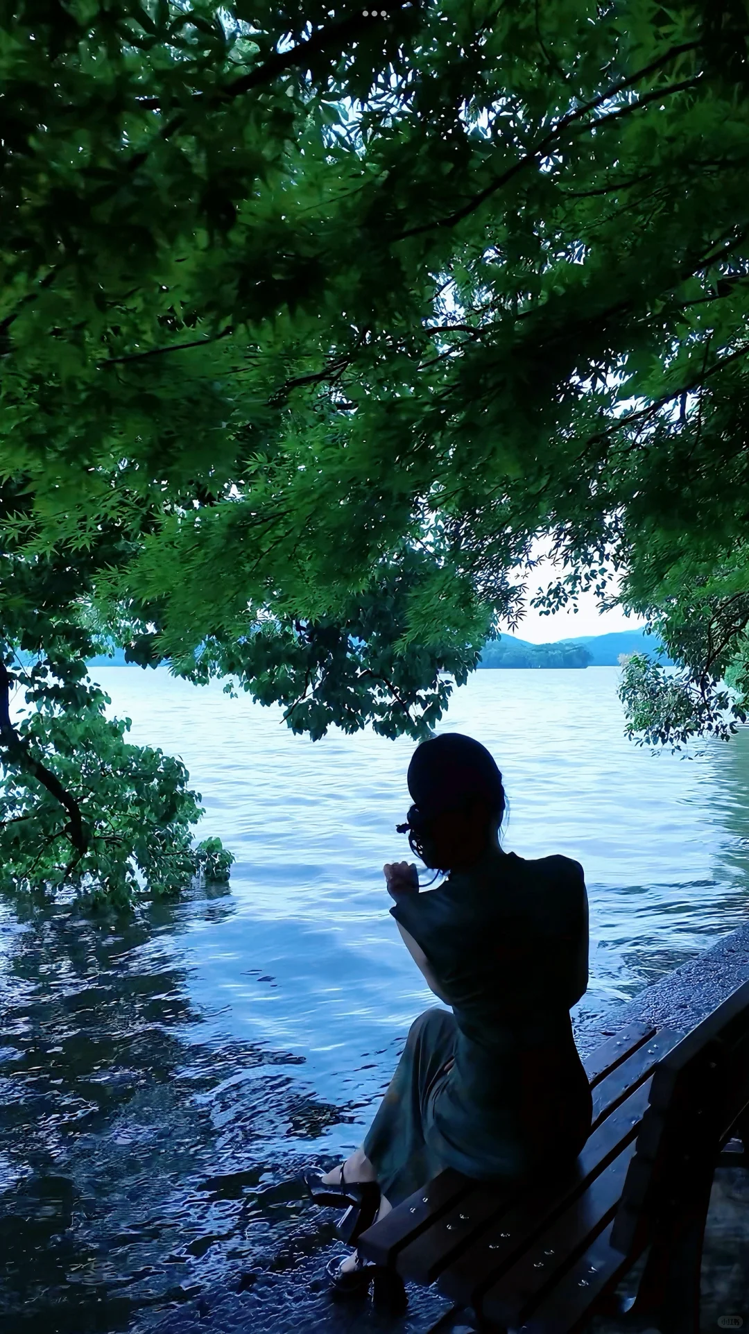 西湖边超美拍照机位打卡📷