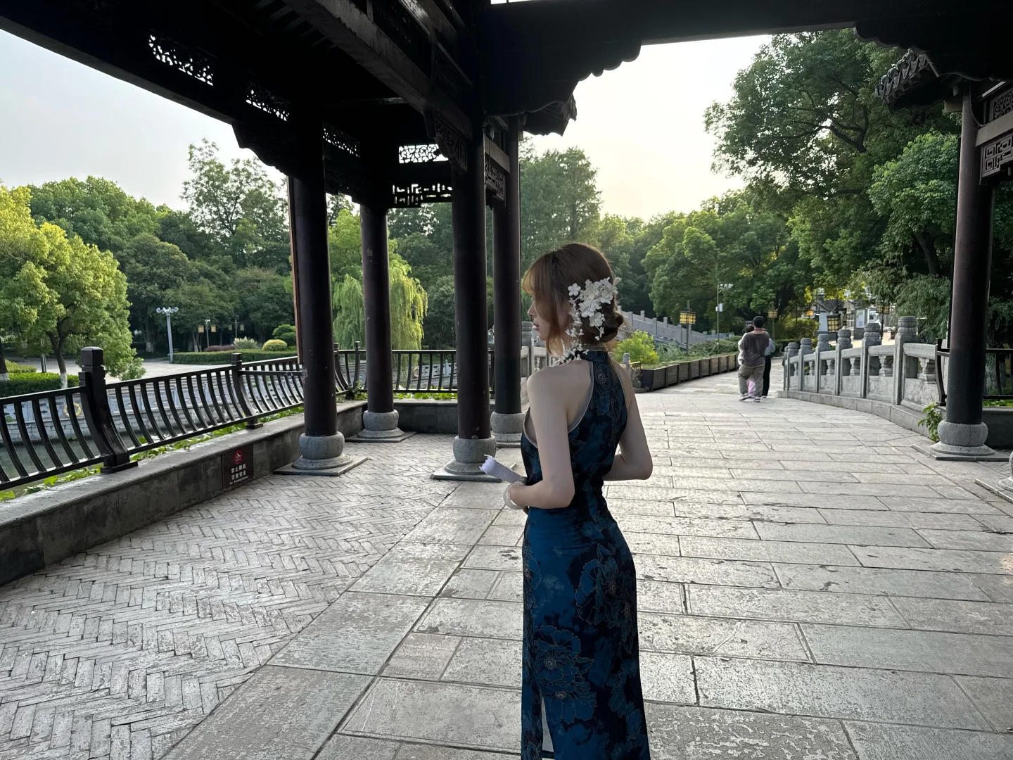 清风上南枝 梦中仍相思