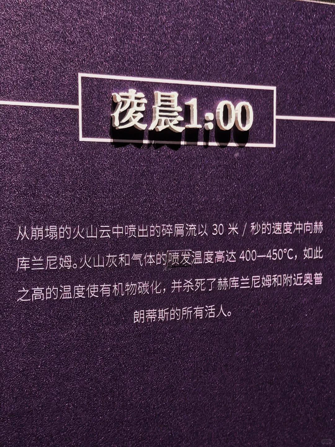 遇见庞贝｜请笃信：痛终有时，爱必将至！
