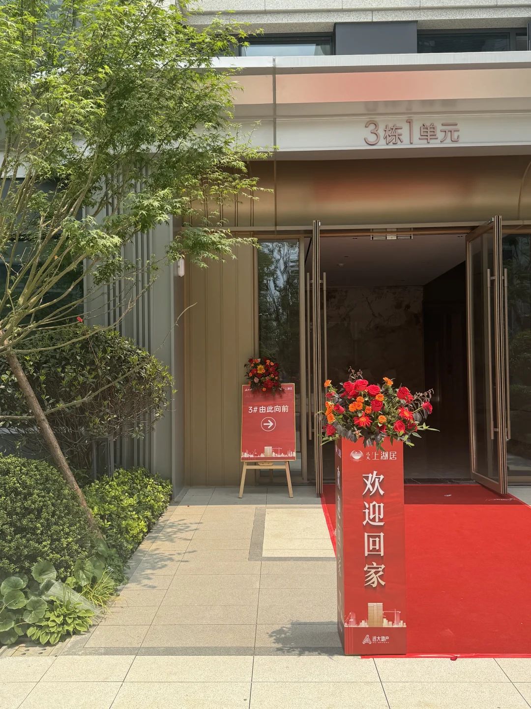 新家的第三阶段业主开放日🏡🌳💐🪻🌷🌼🌸🌺