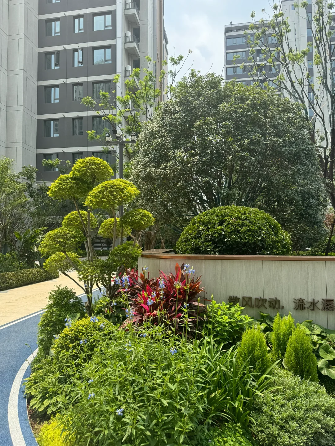 新家的第三阶段业主开放日🏡🌳💐🪻🌷🌼🌸🌺