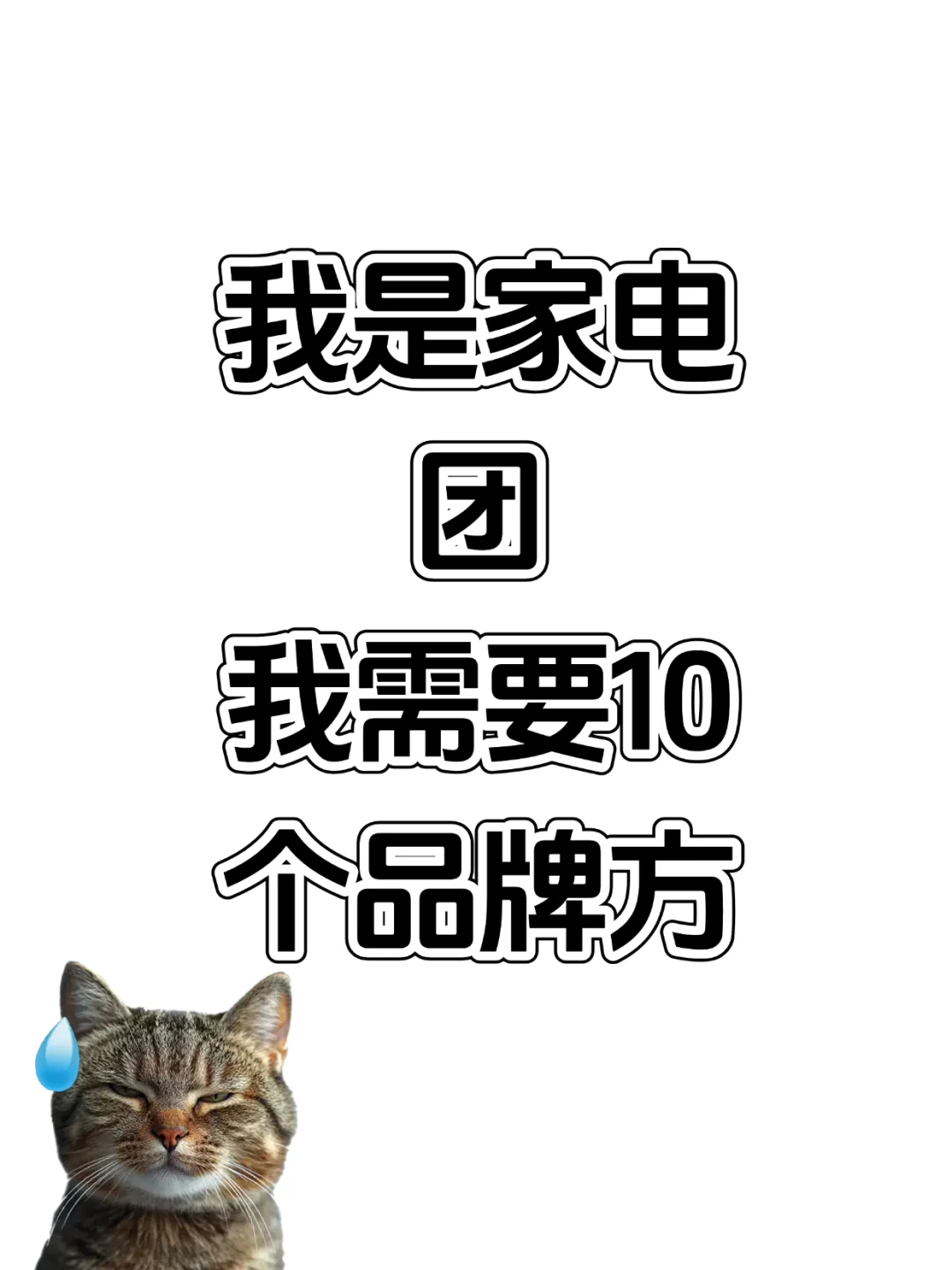 我是家电团，我急需品牌方
