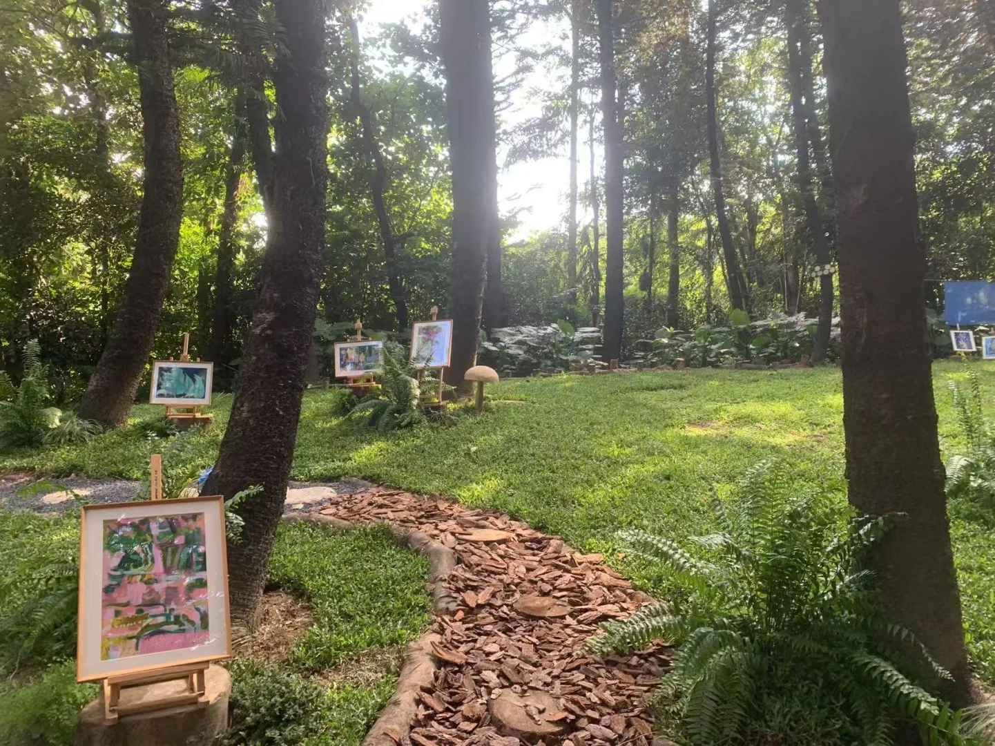 盛夏的森林主题画展｜接地Earthing