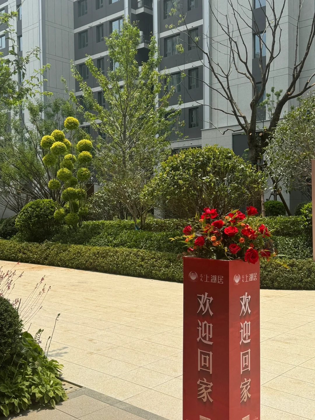 新家的第三阶段业主开放日🏡🌳💐🪻🌷🌼🌸🌺