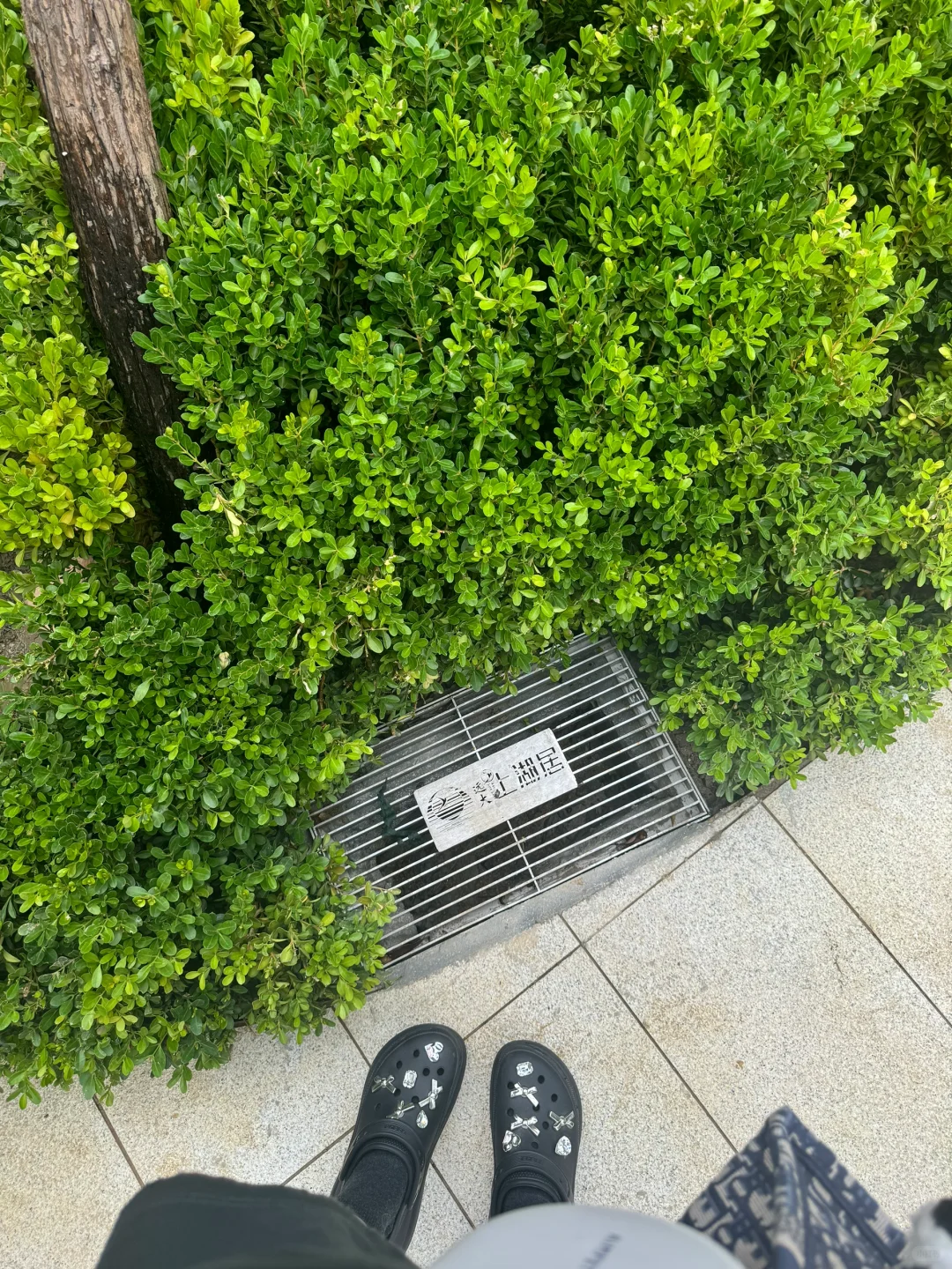 新家的第三阶段业主开放日🏡🌳💐🪻🌷🌼🌸🌺