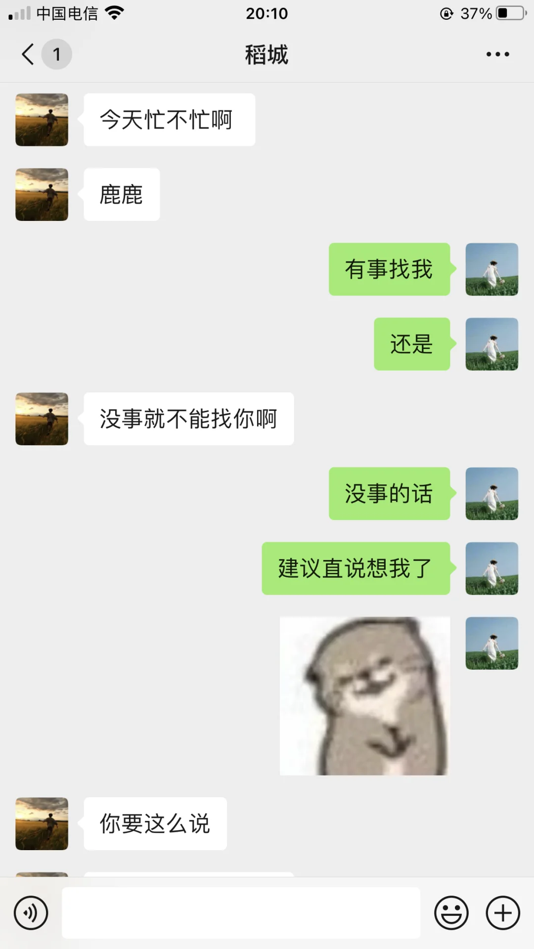 只撩不追才是最有杀伤力的