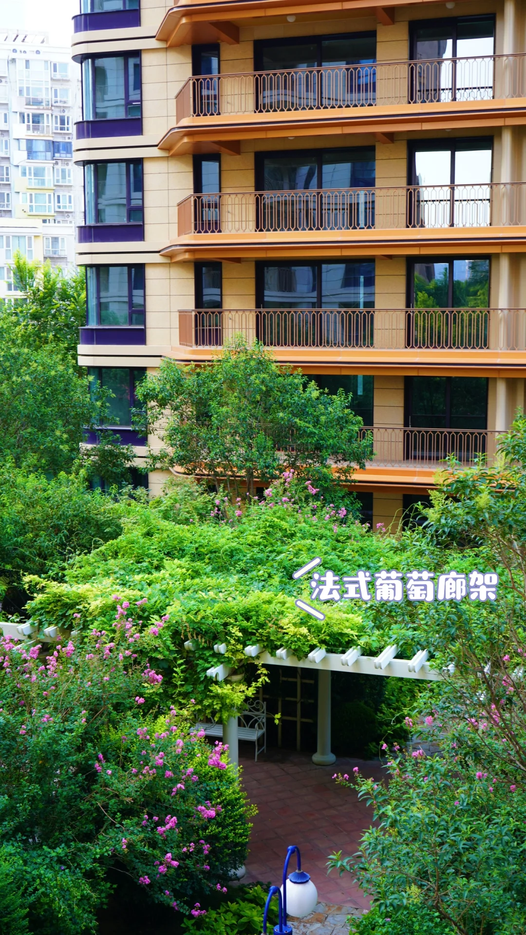 Bur哥们🏡你跟我说这是石家庄❓