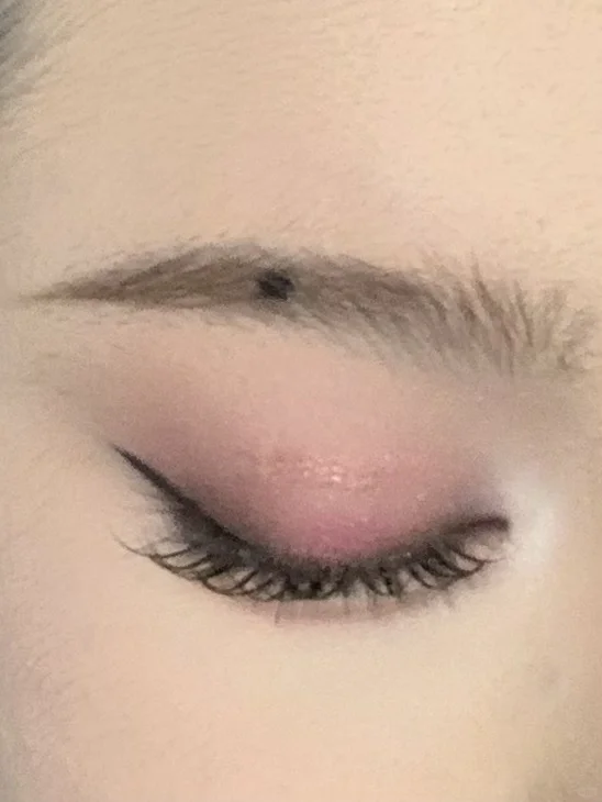 魅惑粉棕小烟熏！附画法保姆级详细教程‼️