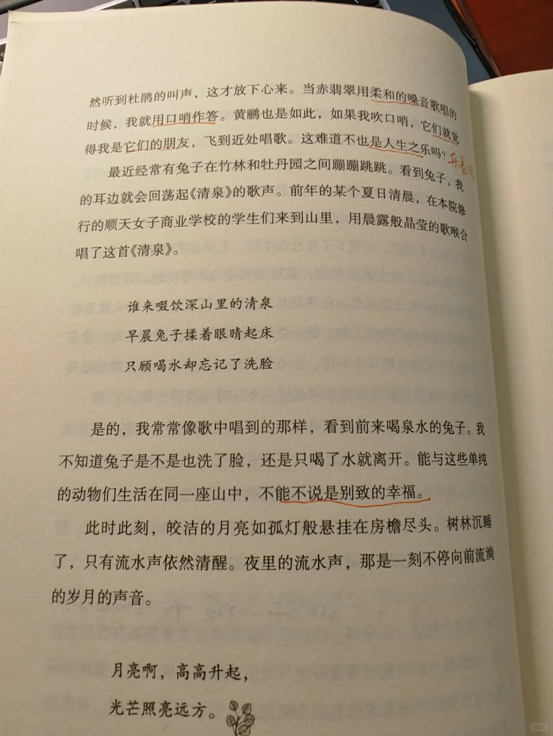 这本“外在清贫内心丰腴”的书狠狠治愈了我