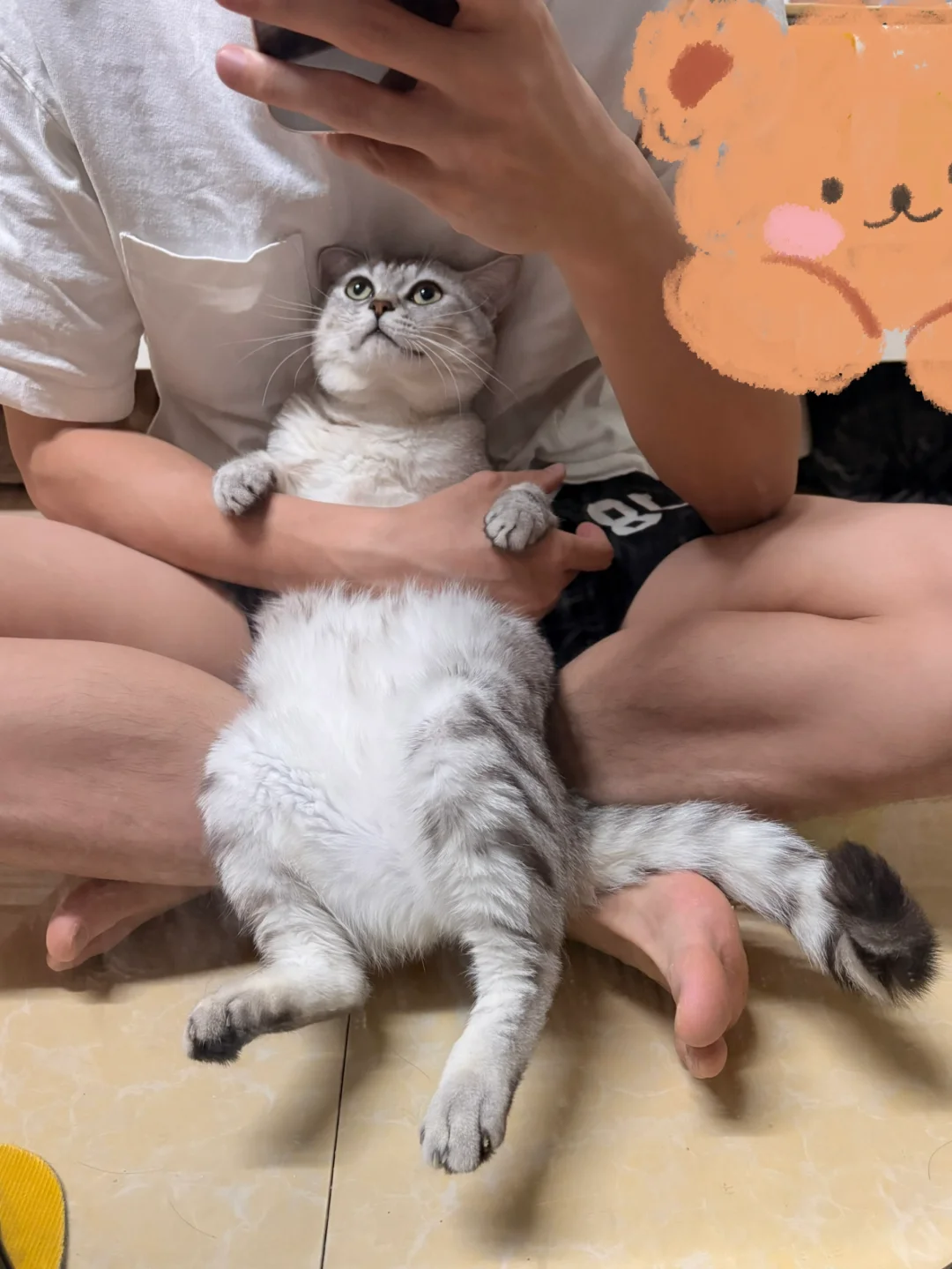 它魅惑我