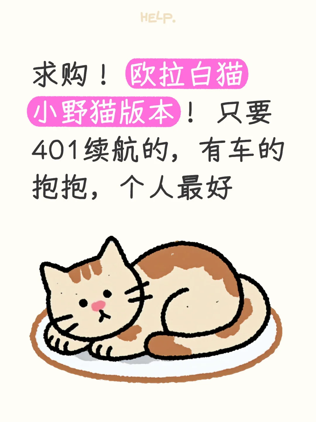 求购欧拉白猫 小野猫