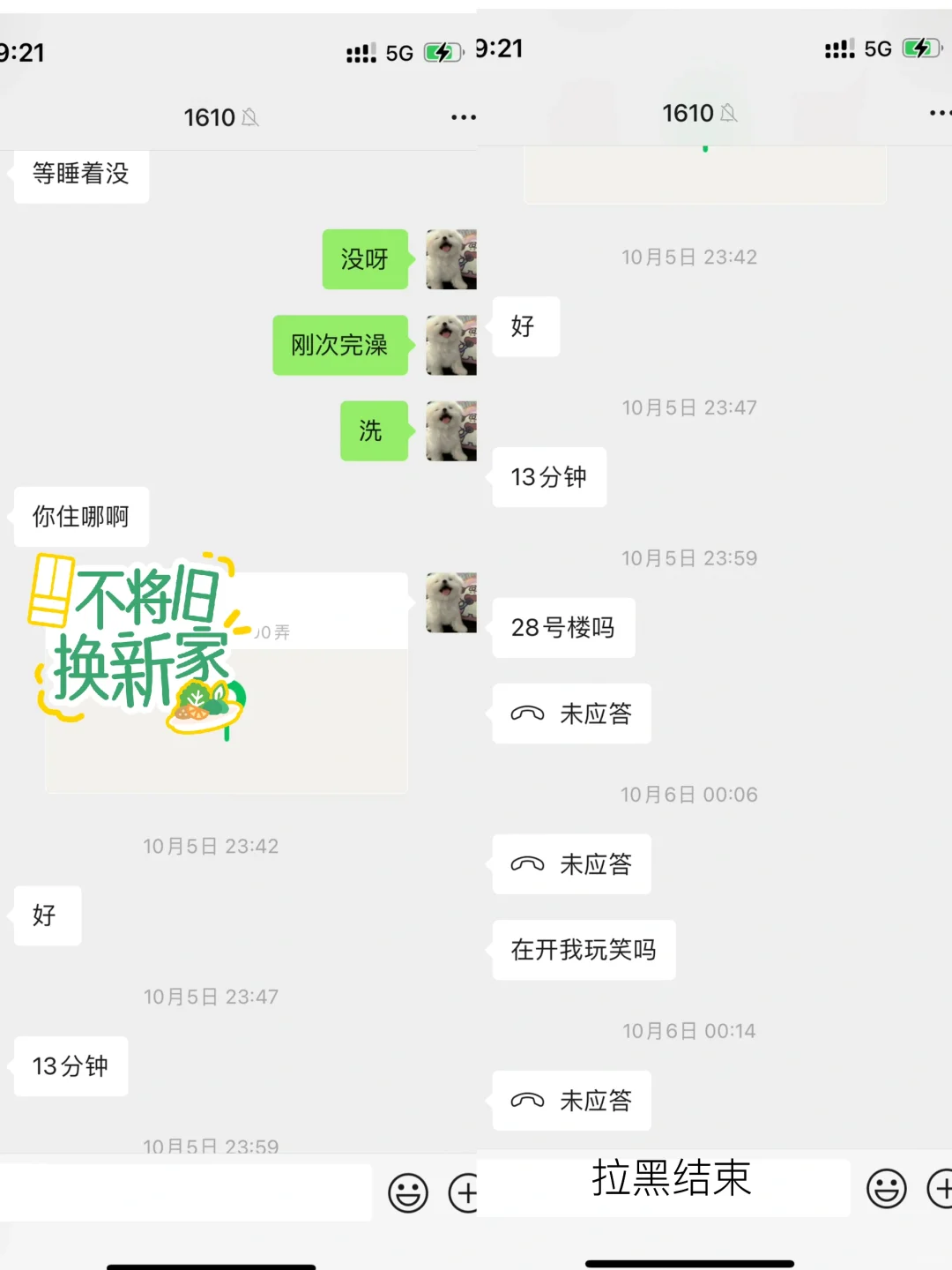 姐妹在旅游，他在家撩妹