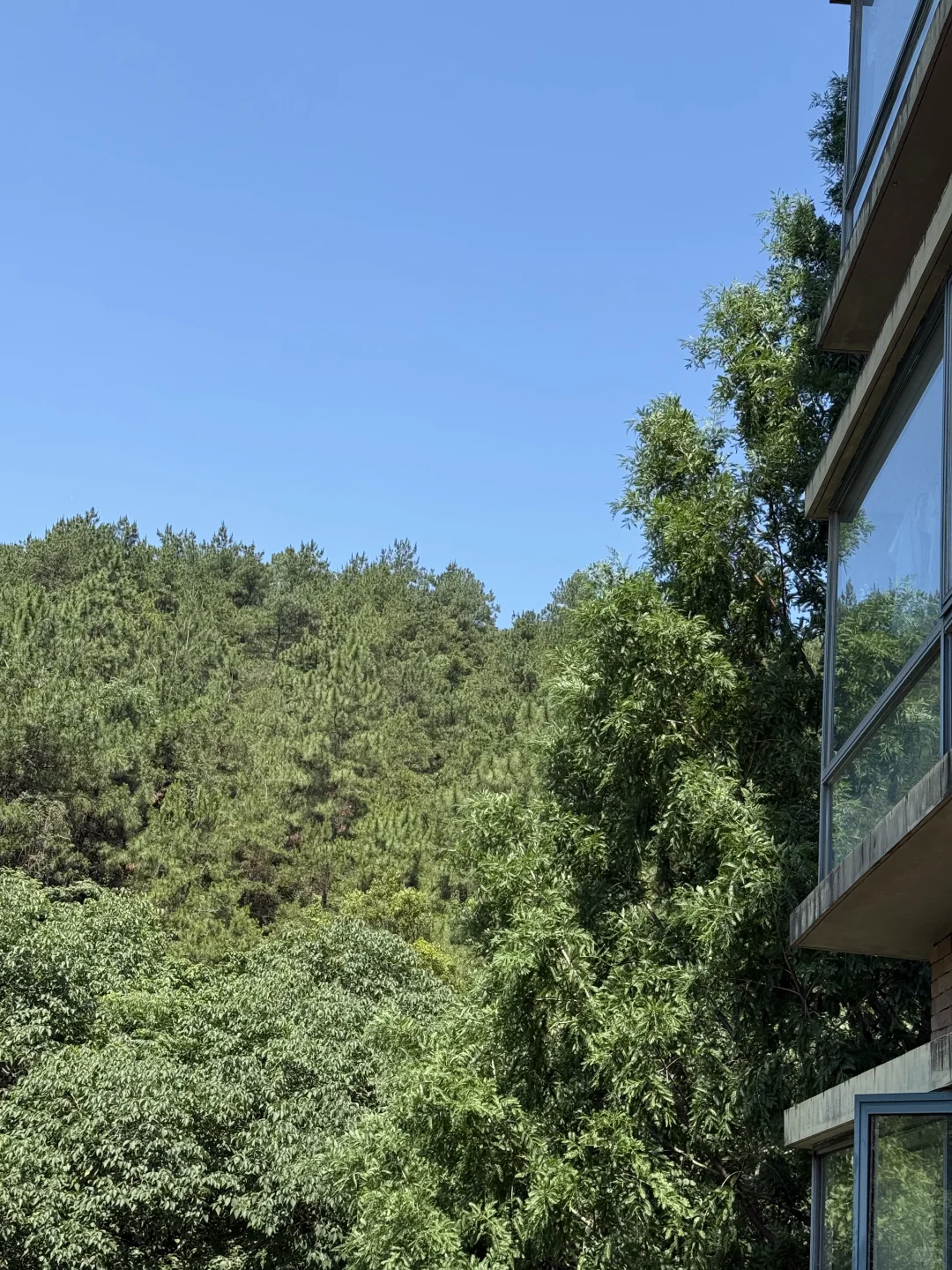 装了4套房，终于装了一个 dream house