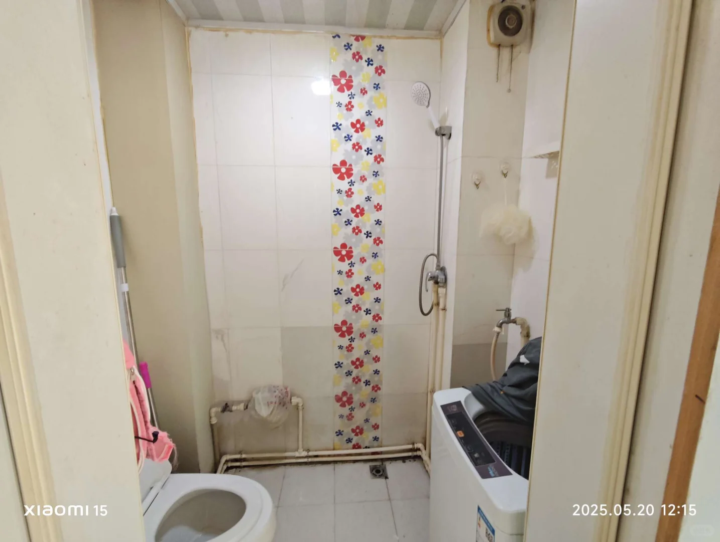理想小屋，单身公寓