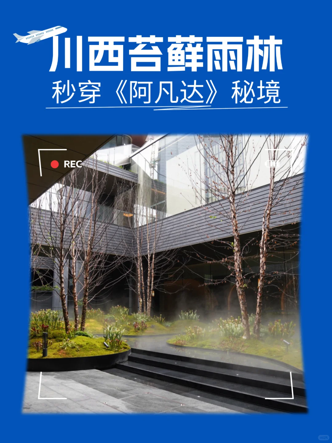 ✨双泳池神仙楼盘！瀑布泳池美到失语