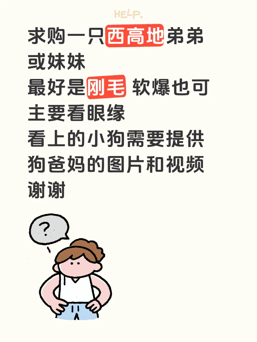 求购一只西高地弟弟或妹妹