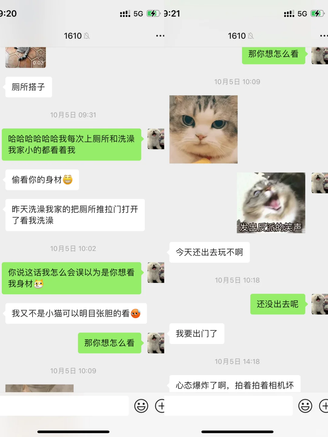 姐妹在旅游，他在家撩妹