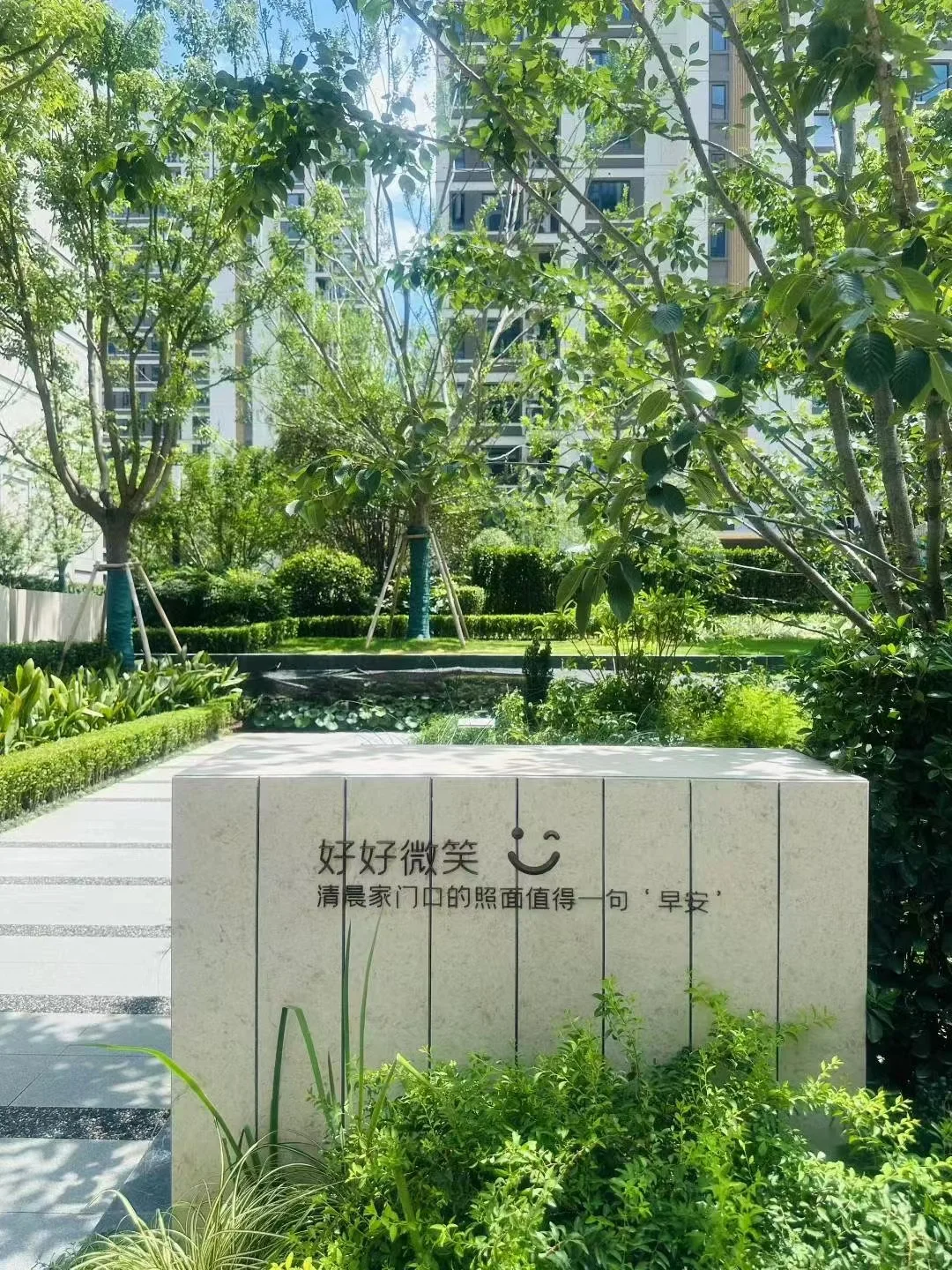 新家换新颜