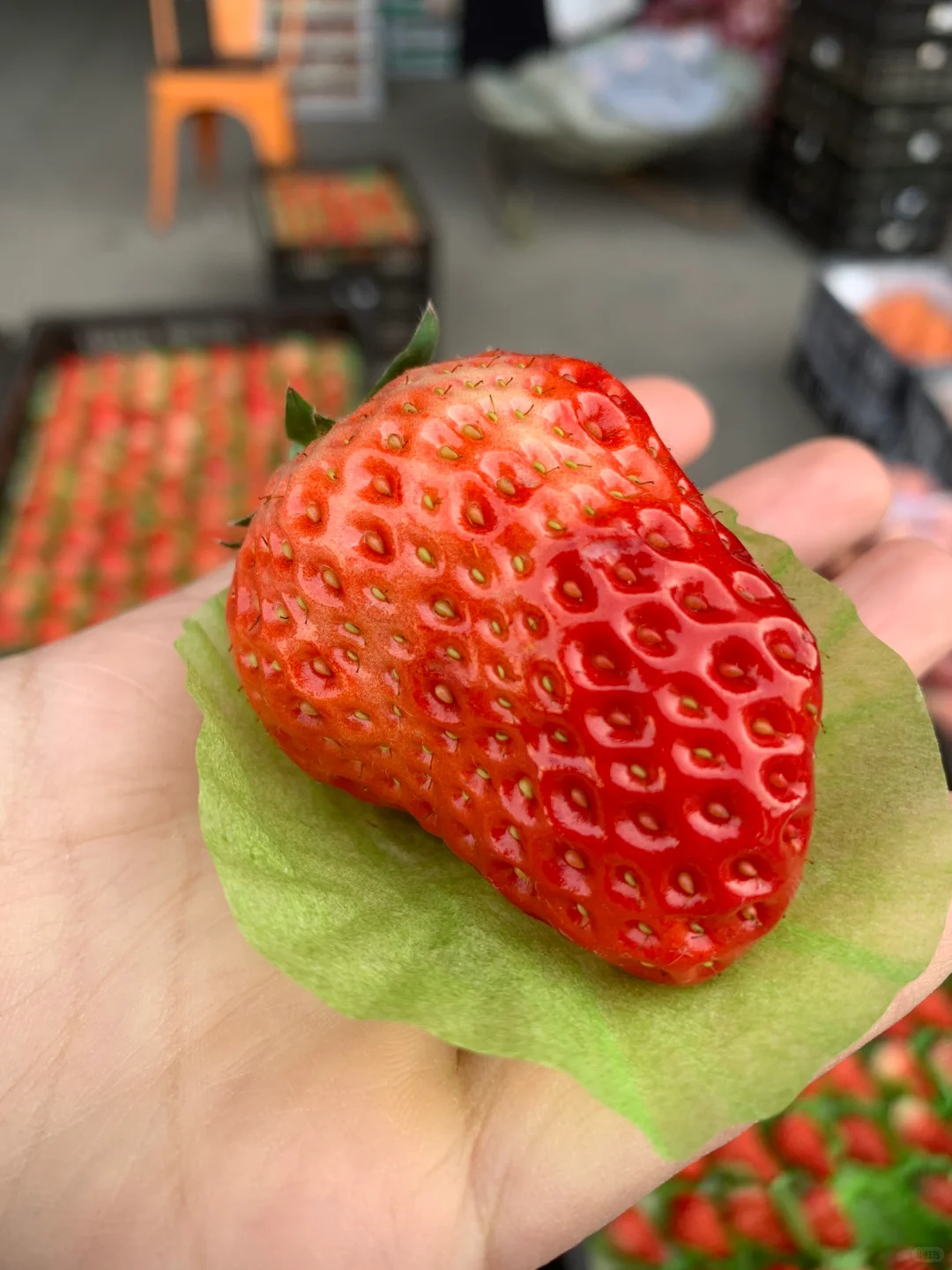 挑战做社区团购的第六天