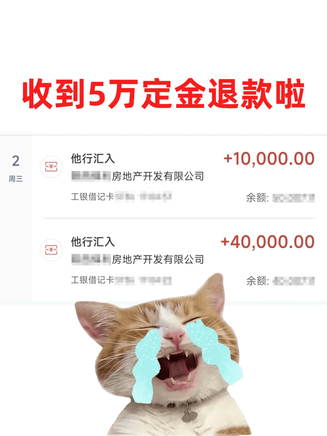 退定金成功！今天收到开发商的退款啦🥰