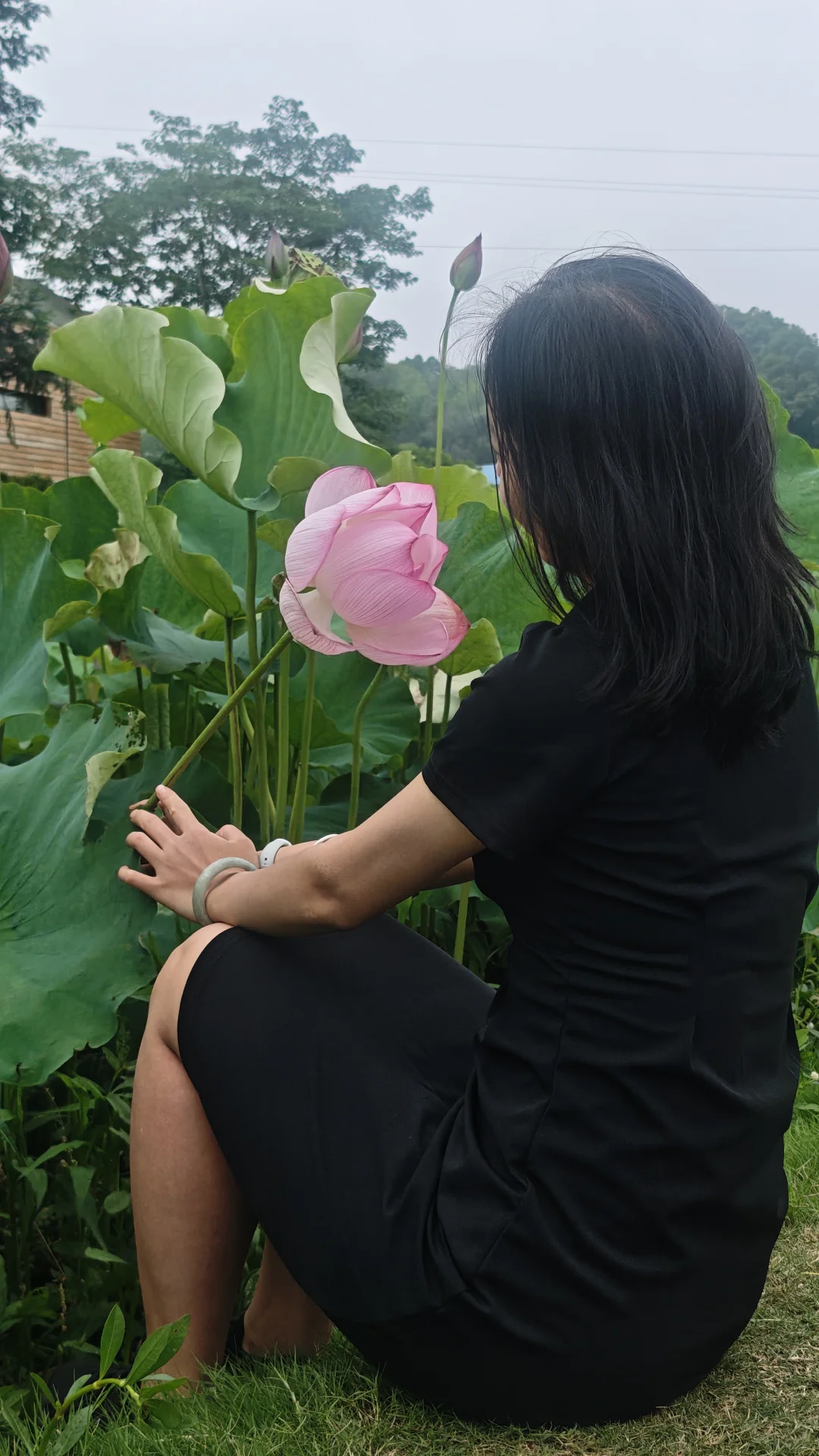 荷花比人美娇艳绚烂……