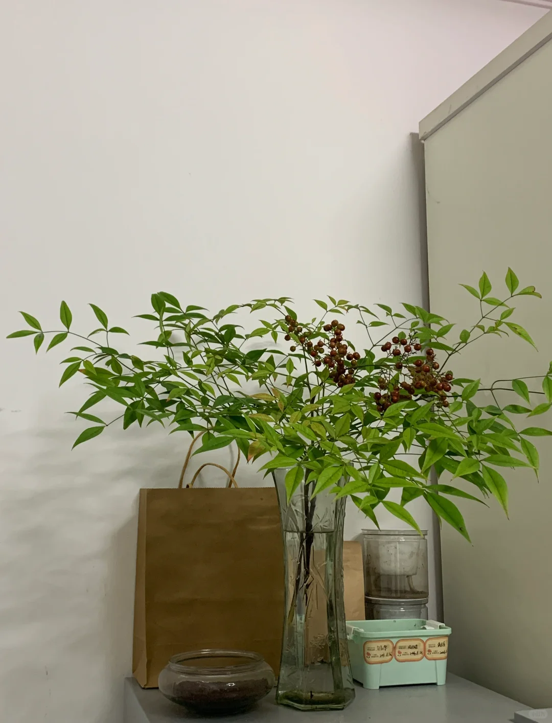 毕业季租房必看！上海租房避坑指南