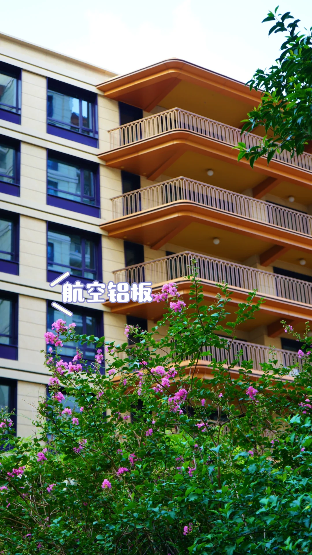 Bur哥们🏡你跟我说这是石家庄❓