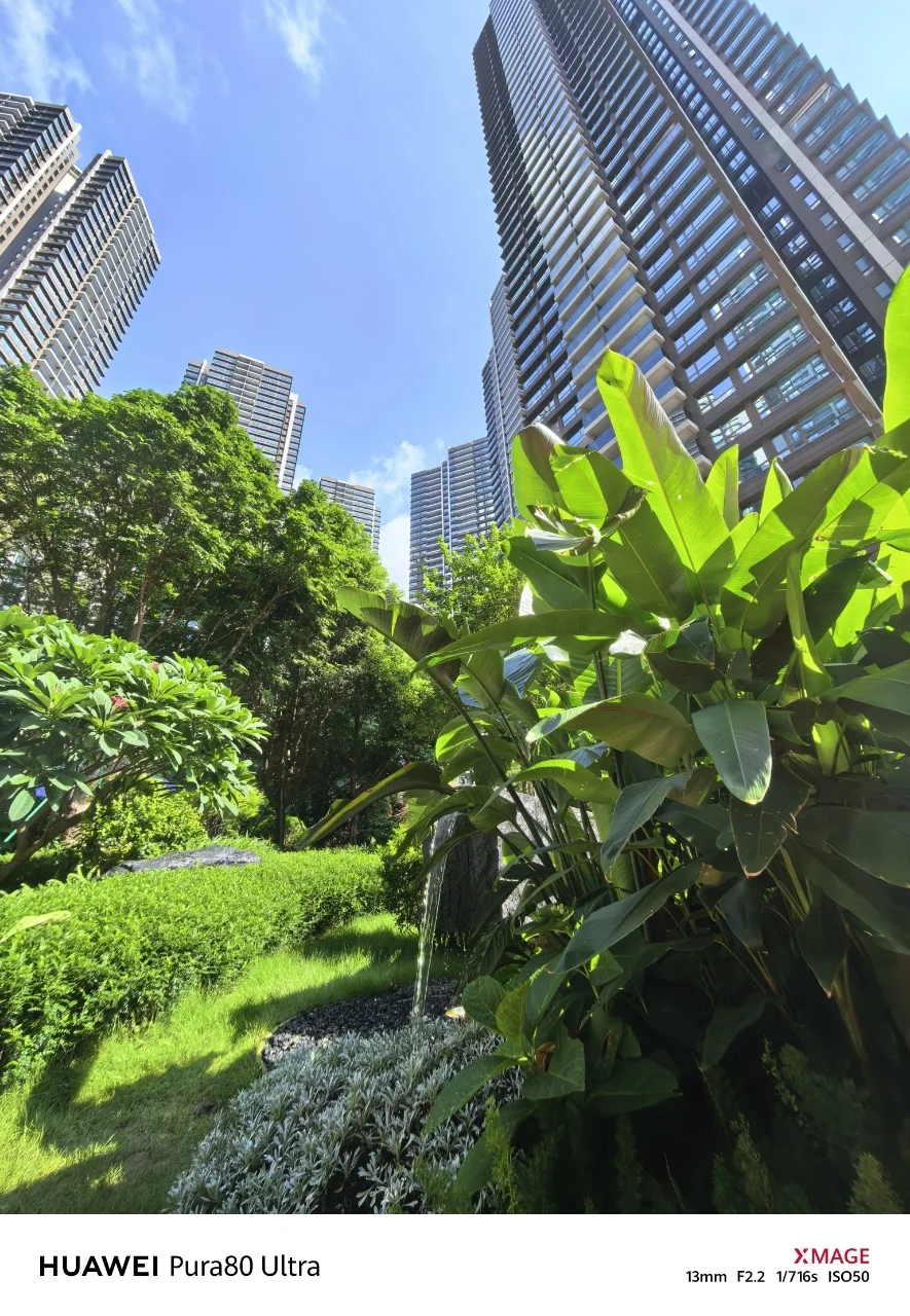 深圳团购项目盛大交房！