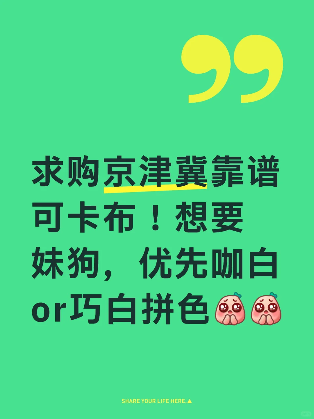 想养一只狗的心情已经达到了顶峰
