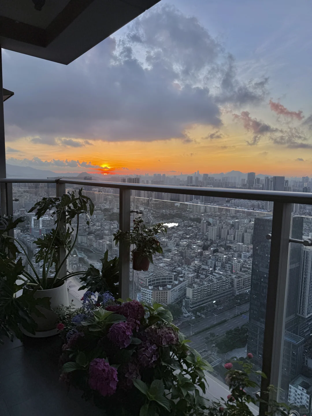 50楼 长大真好 赚钱真好 拥有自己的家真好