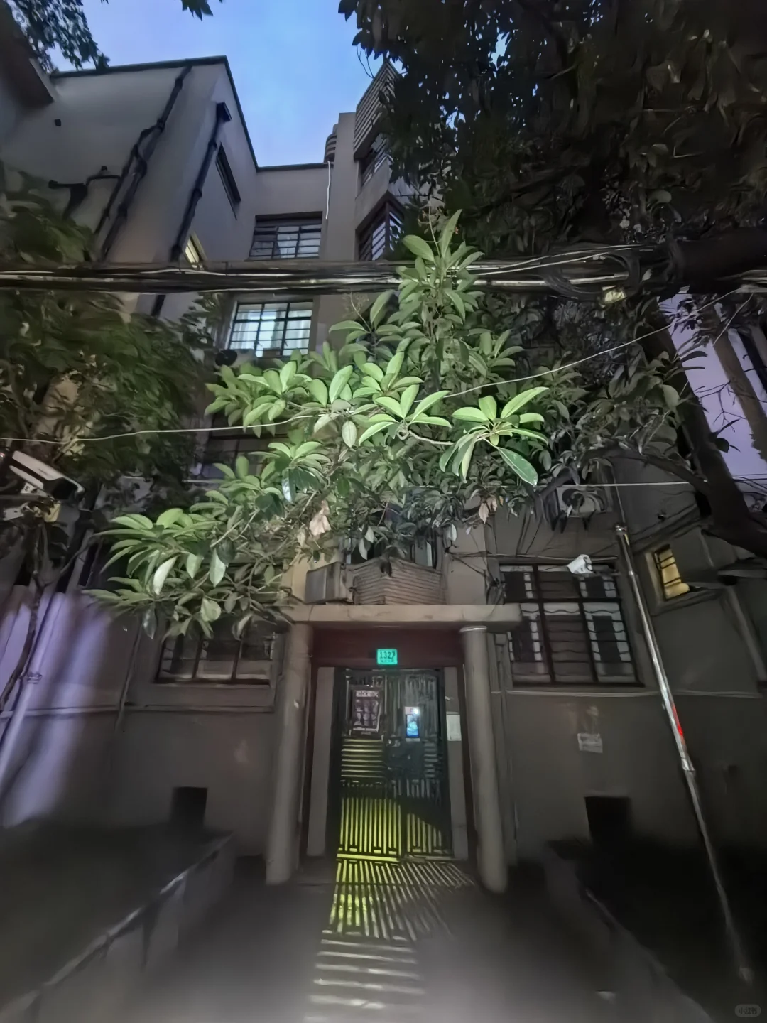 上海老式公寓（三）