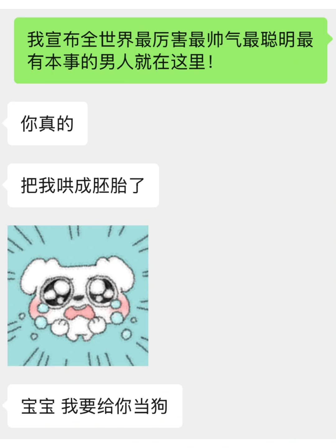 魅魔速成班 直球小狗