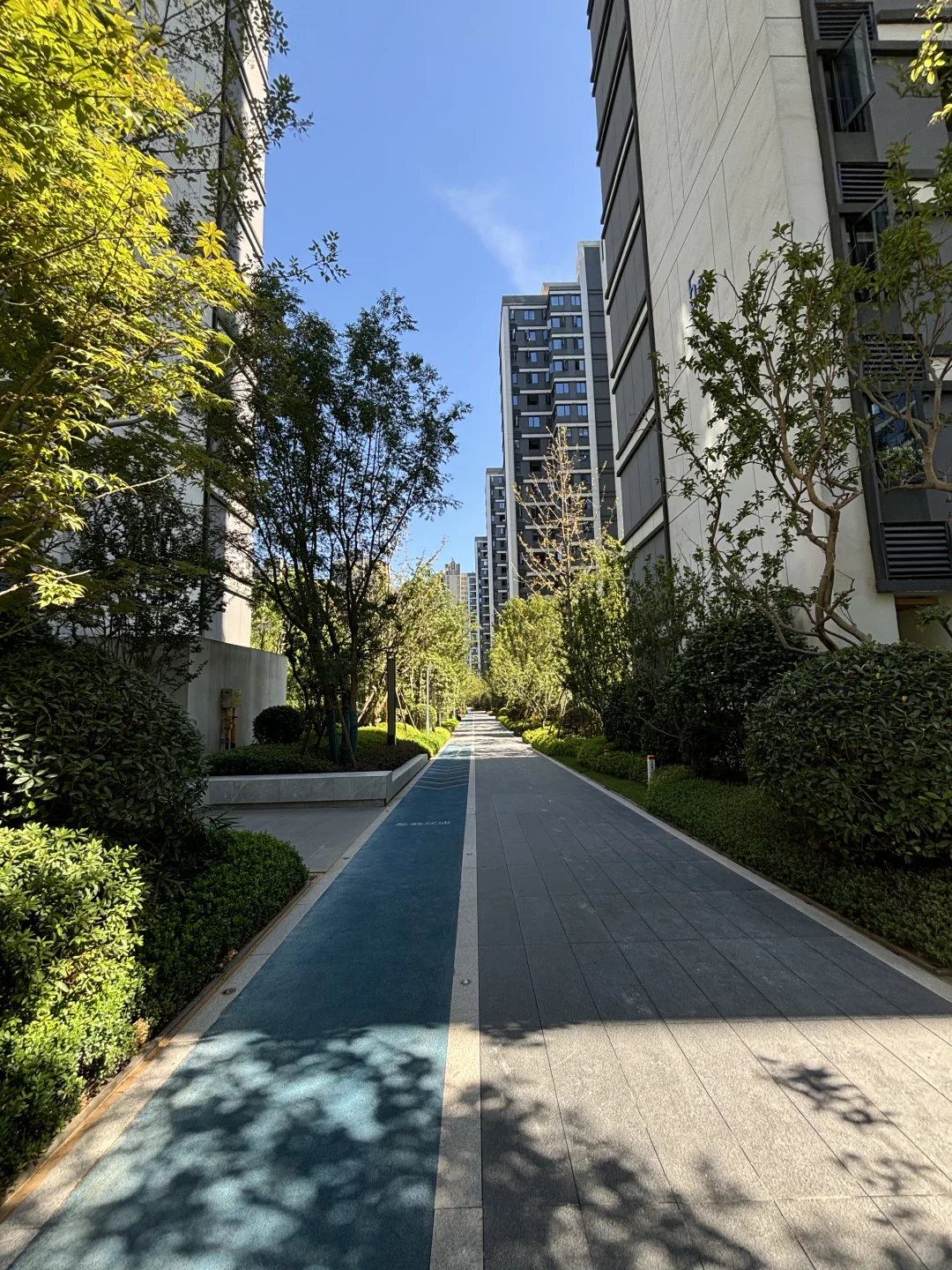新小区逛了一圈，绿化确实做得好。
