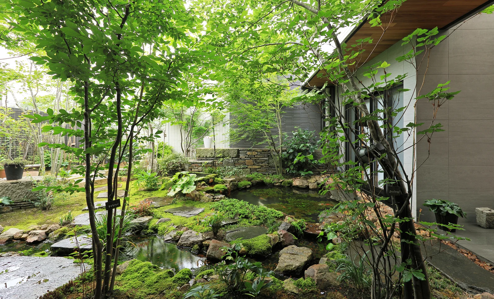 独立住宅分享——画廊FORT7住宅