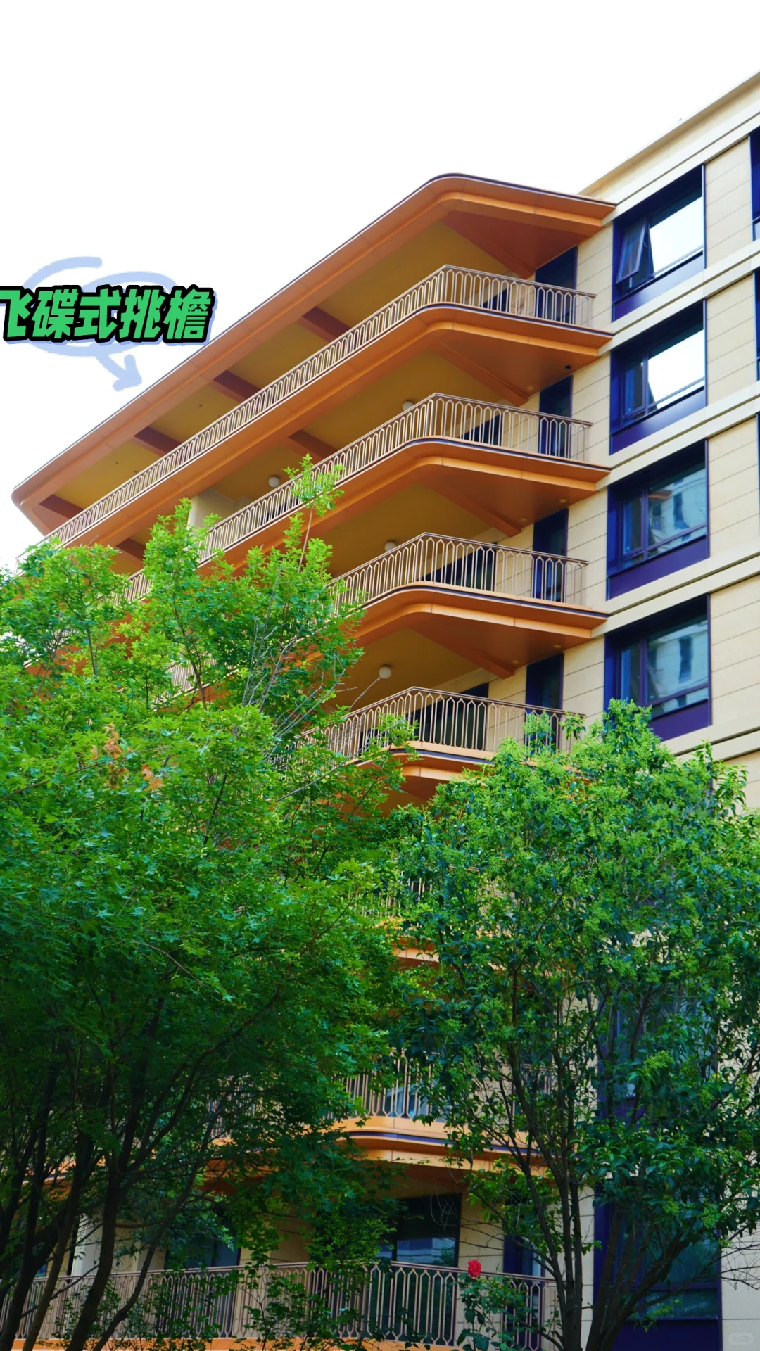 Bur哥们🏡你跟我说这是石家庄❓