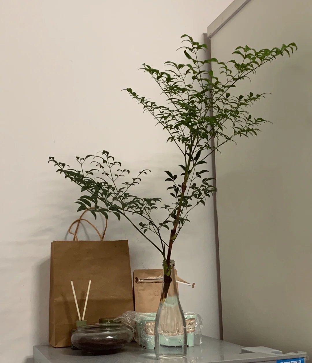 毕业季租房必看！上海租房避坑指南