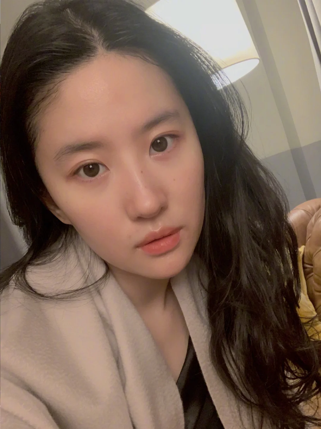 刘亦菲算什么美女？