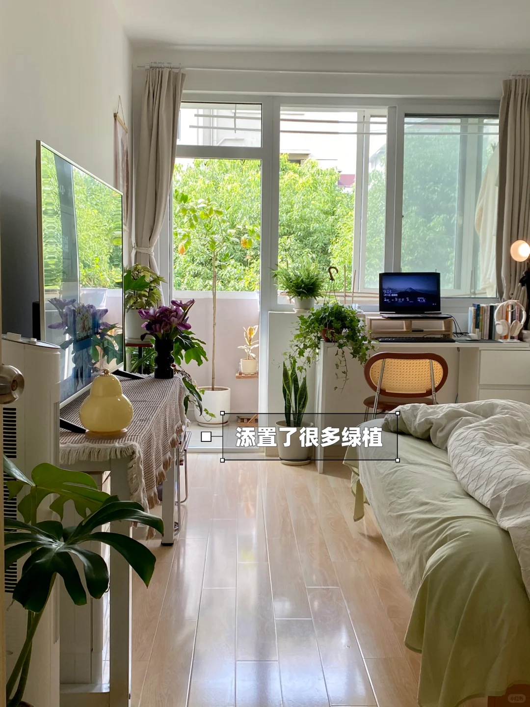 月租3700，普通女生在上海的出租屋🏠