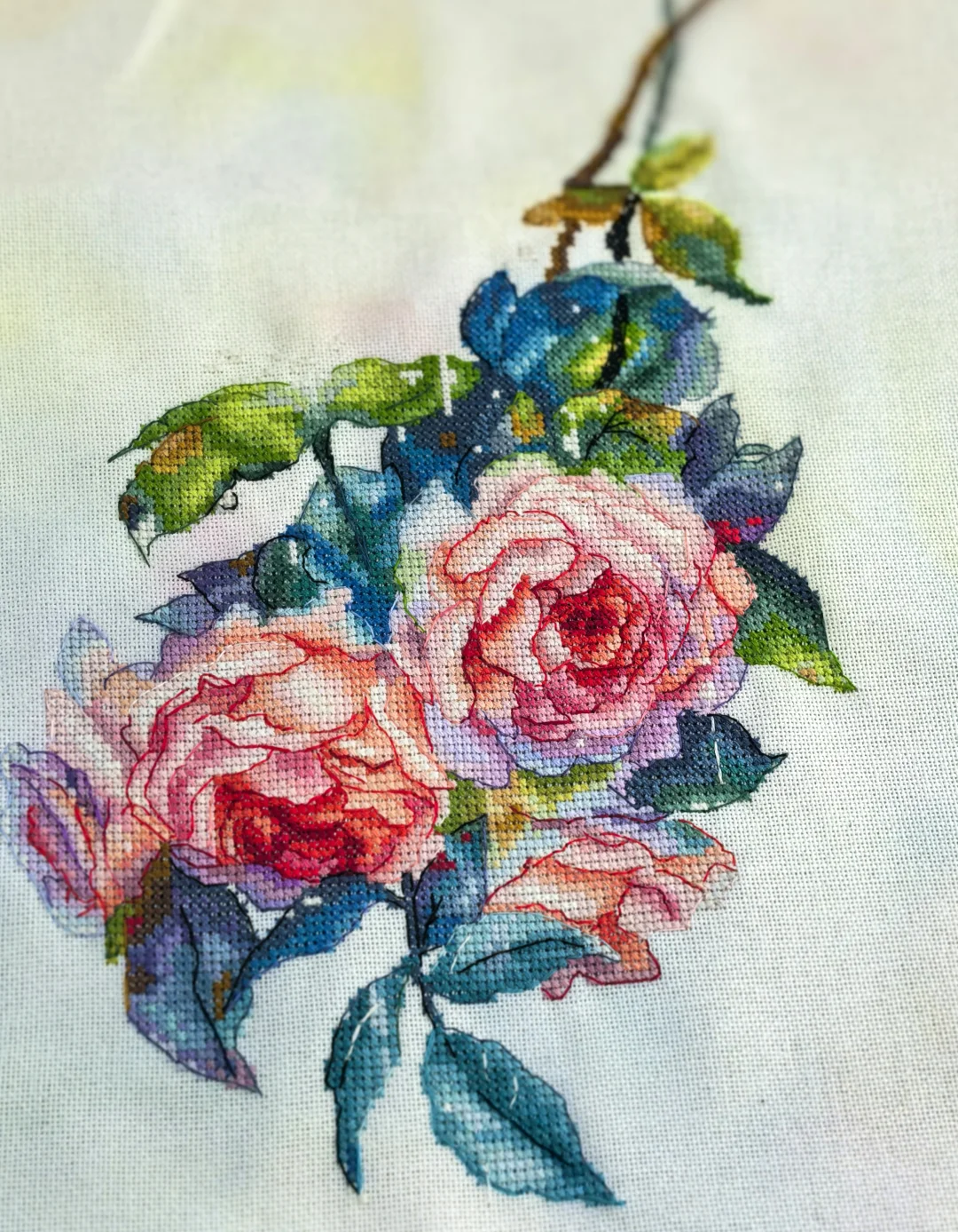 定格在绣布上的娇艳夺目🌹