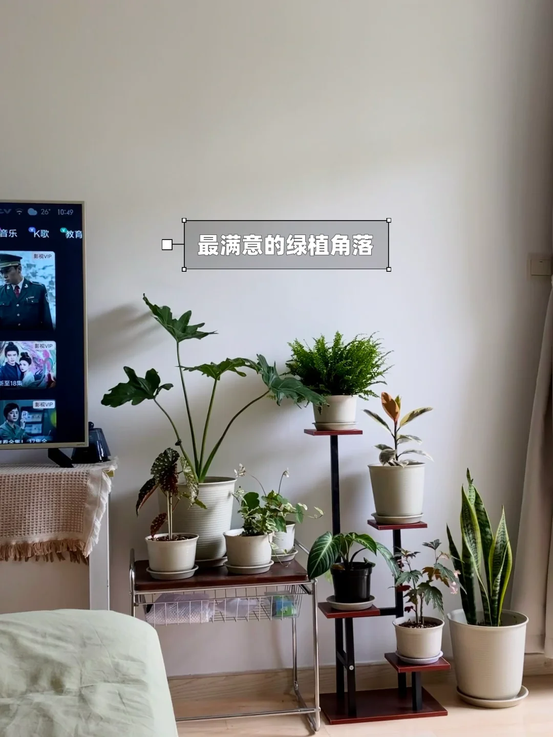 月租3700，普通女生在上海的出租屋🏠