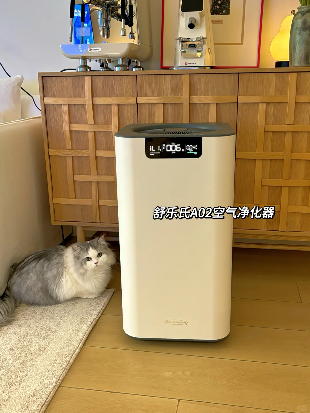 小户型就复制我家吧，才5w简单又好看