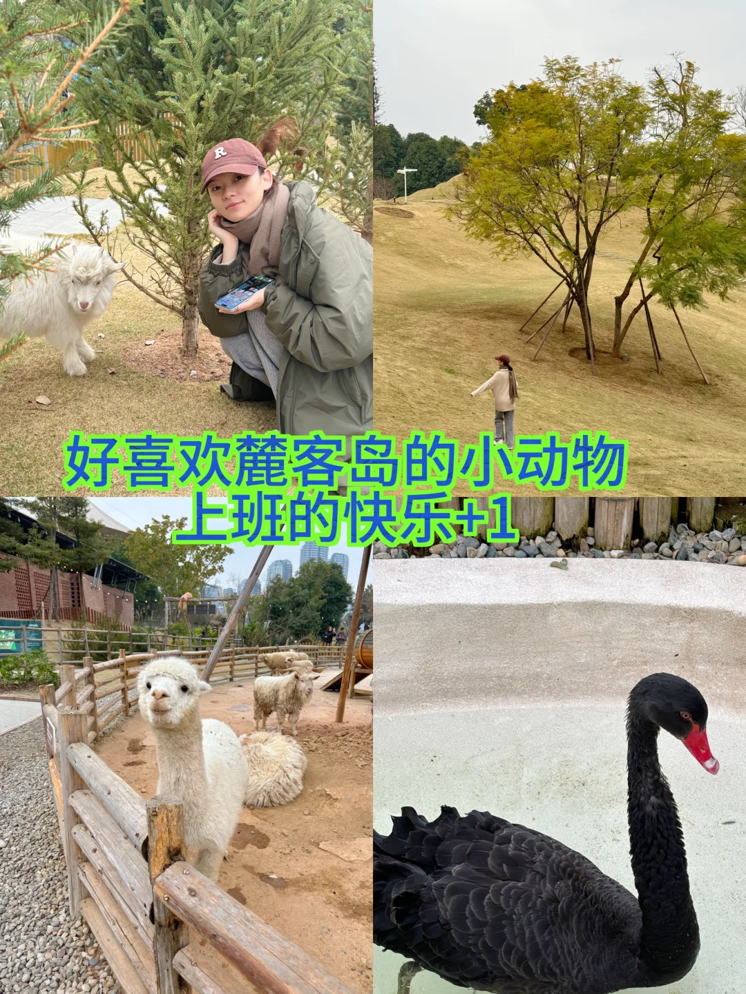从互联网到房地产，我在麓湖工作的第四年