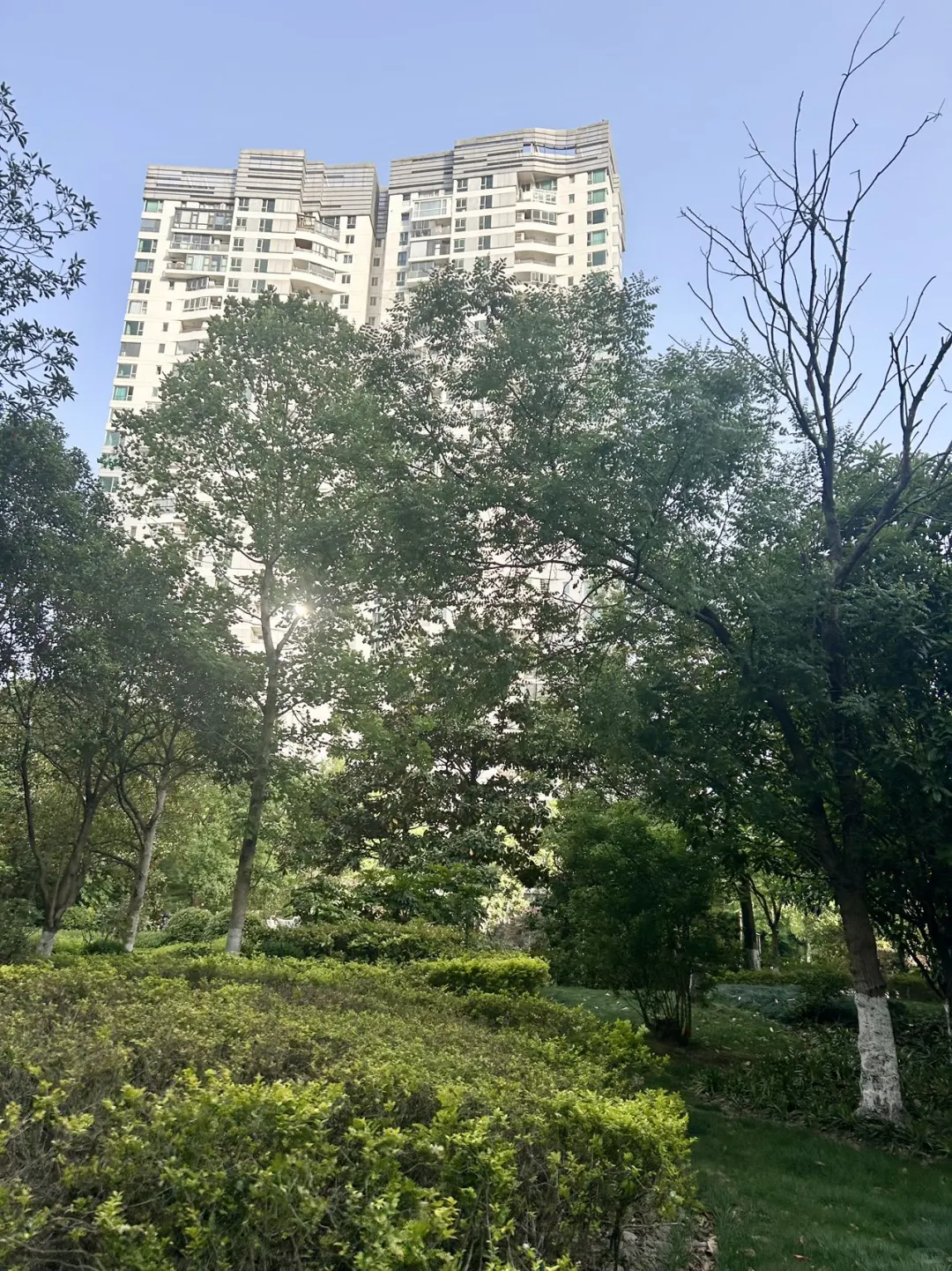 上海徐汇滨江豪宅｜预算2000-2100万买房
